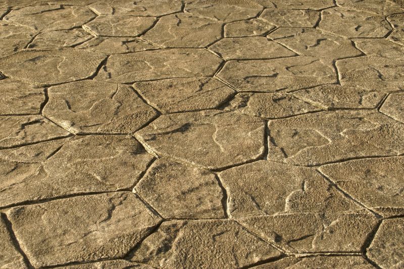 Textured Concrete Installation in Dallas, TX